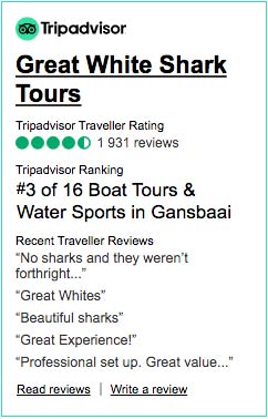 Reviews tripadvisor Shark Cage Diving with Great White Shark Tours