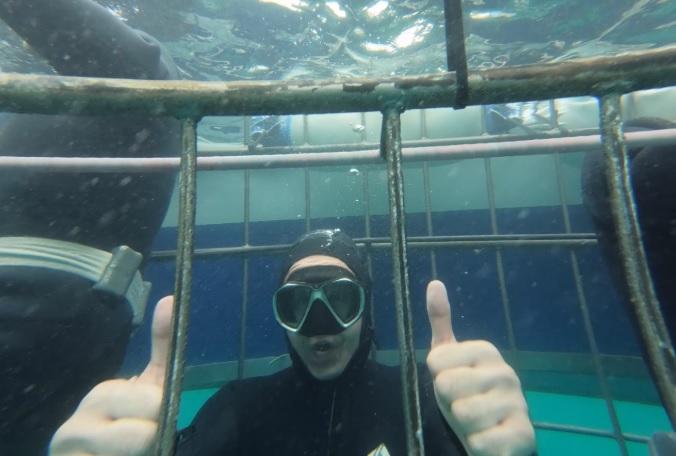 Under Water divers in cage 30 Dec 19 1