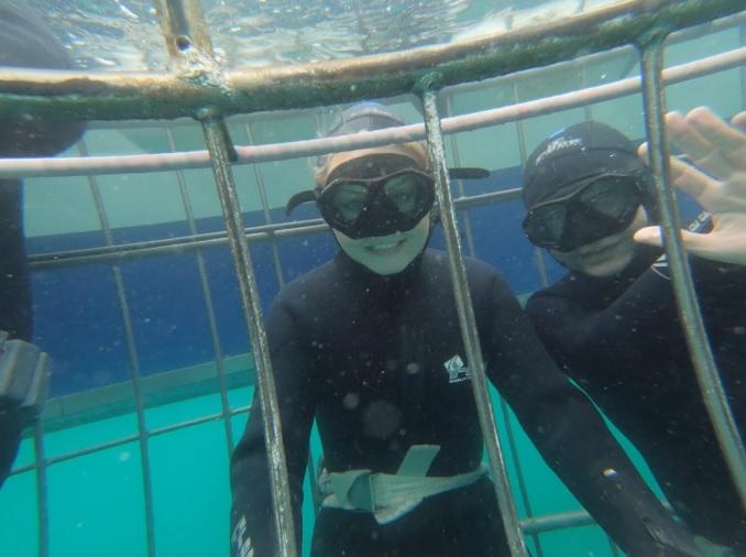 Under Water divers in cage 30 Dec 19 kids