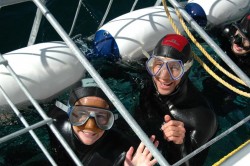 shark-divers-in-cage.jpg